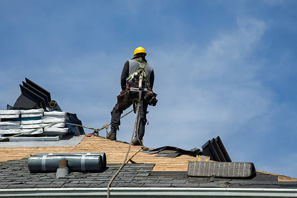 Professional Gutter Installation technician working in Wheat Ridge, CO